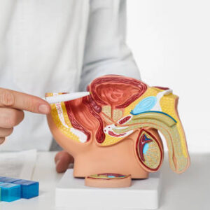 fizjoterapia urologiczna Warszawa